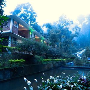 Suite River View